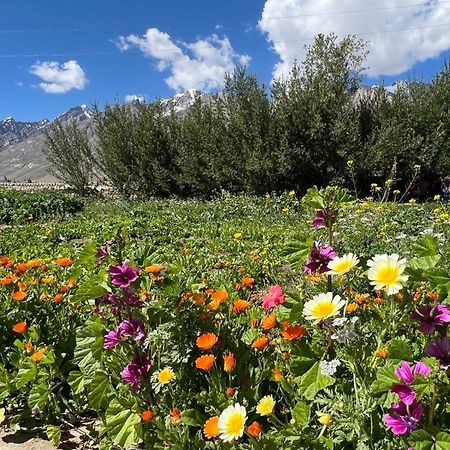 Guru View Home Stay Padam Dış mekan fotoğraf