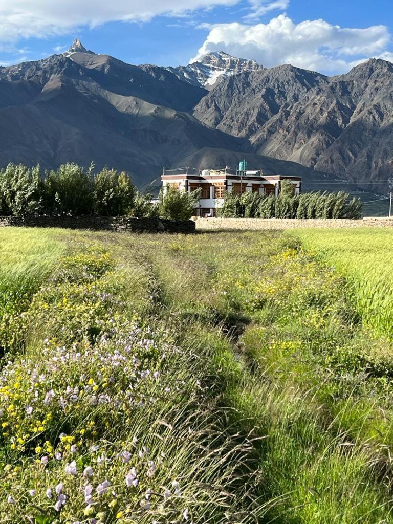 Guru View Home Stay Padam Dış mekan fotoğraf